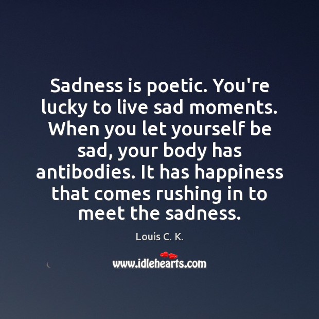 Sadness is poetic. You’re lucky to live sad moments. When you let Louis C. K. Picture Quote