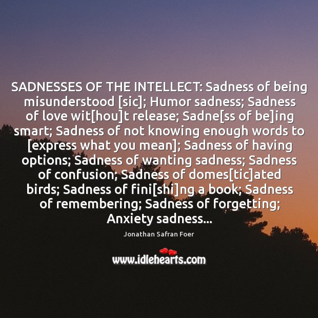 SADNESSES OF THE INTELLECT: Sadness of being misunderstood [sic]; Humor sadness; Sadness Jonathan Safran Foer Picture Quote