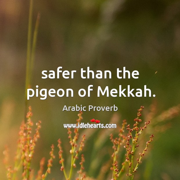 Safer than the pigeon of mekkah. Arabic Proverbs Image