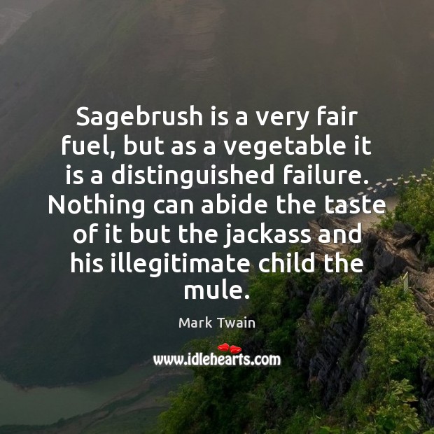 Sagebrush is a very fair fuel, but as a vegetable it is Image