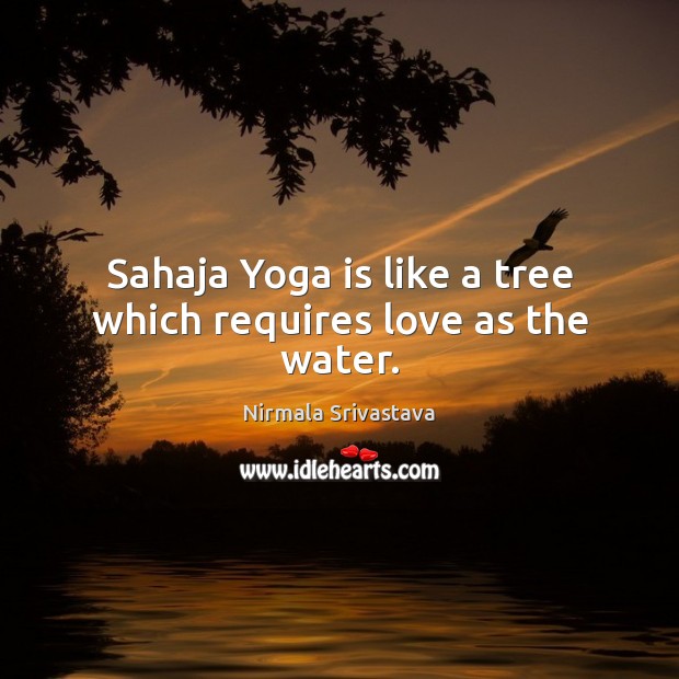 Sahaja Yoga is like a tree which requires love as the water. Nirmala Srivastava Picture Quote