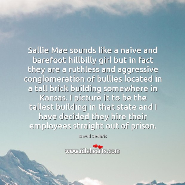 Sallie Mae sounds like a naive and barefoot hillbilly girl but in 