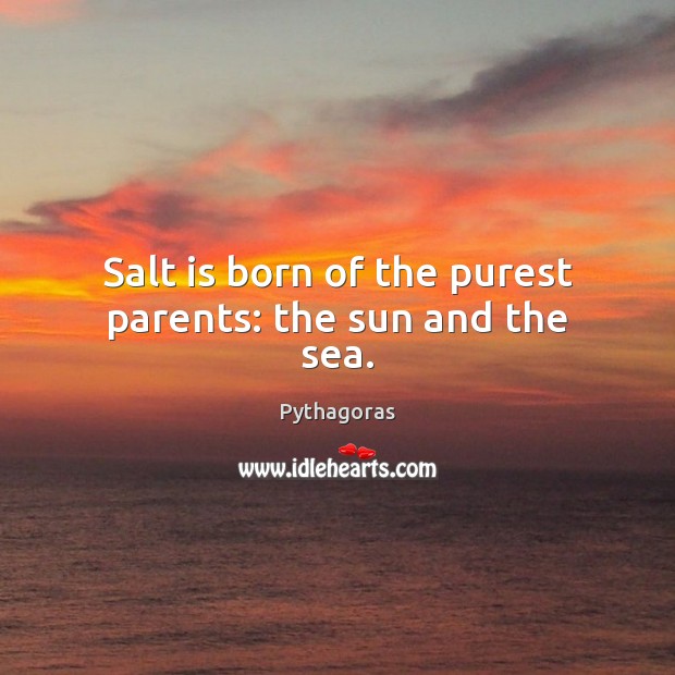 Salt is born of the purest parents: the sun and the sea. Pythagoras Picture Quote