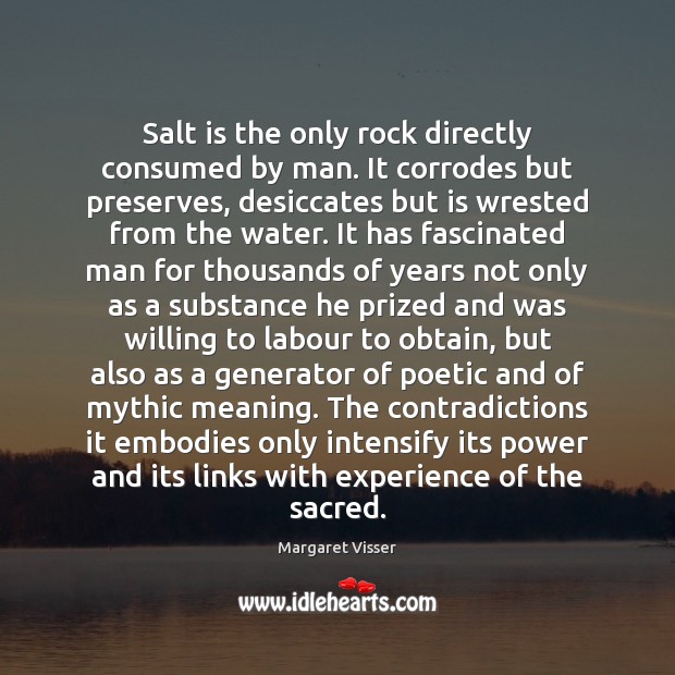 Salt is the only rock directly consumed by man. It corrodes but Margaret Visser Picture Quote