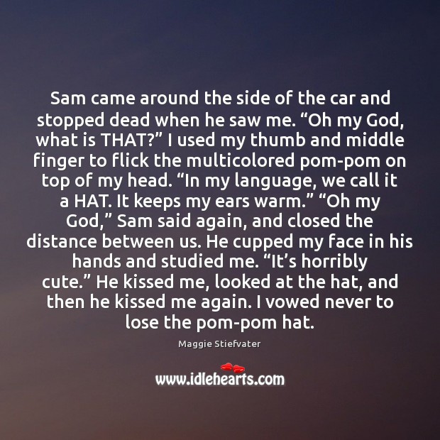 Sam came around the side of the car and stopped dead when Maggie Stiefvater Picture Quote