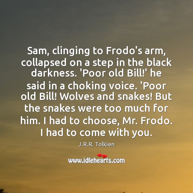 Sam, clinging to Frodo’s arm, collapsed on a step in the black Image