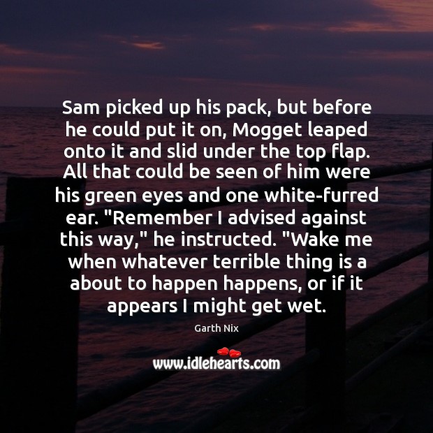 Sam picked up his pack, but before he could put it on, Garth Nix Picture Quote