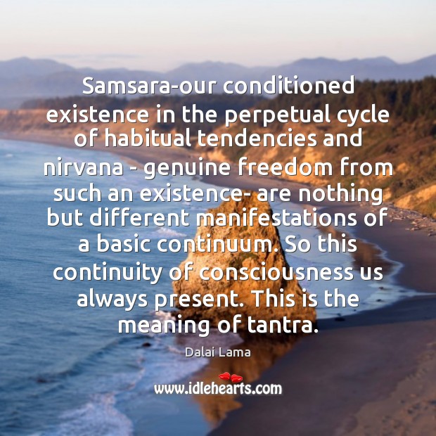 Samsara-our conditioned existence in the perpetual cycle of habitual tendencies and nirvana Dalai Lama Picture Quote