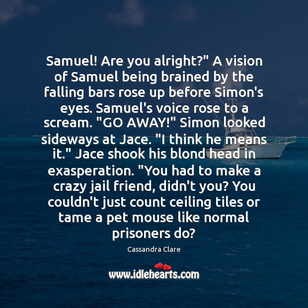 Samuel! Are you alright?” A vision of Samuel being brained by the Image