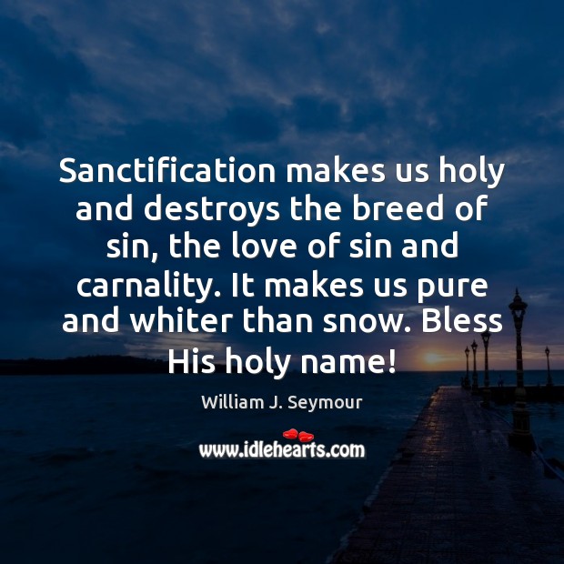 Sanctification makes us holy and destroys the breed of sin, the love Image