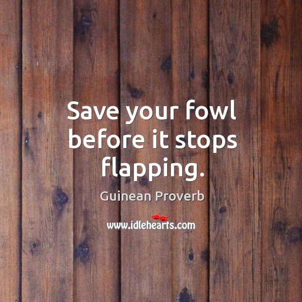 Save your fowl before it stops flapping. Guinean Proverbs Image