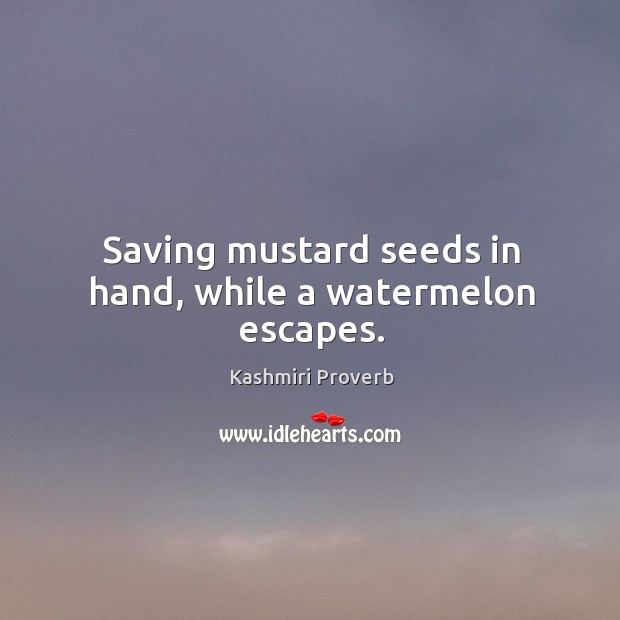 Saving mustard seeds in hand, while a watermelon escapes. Kashmiri Proverbs Image