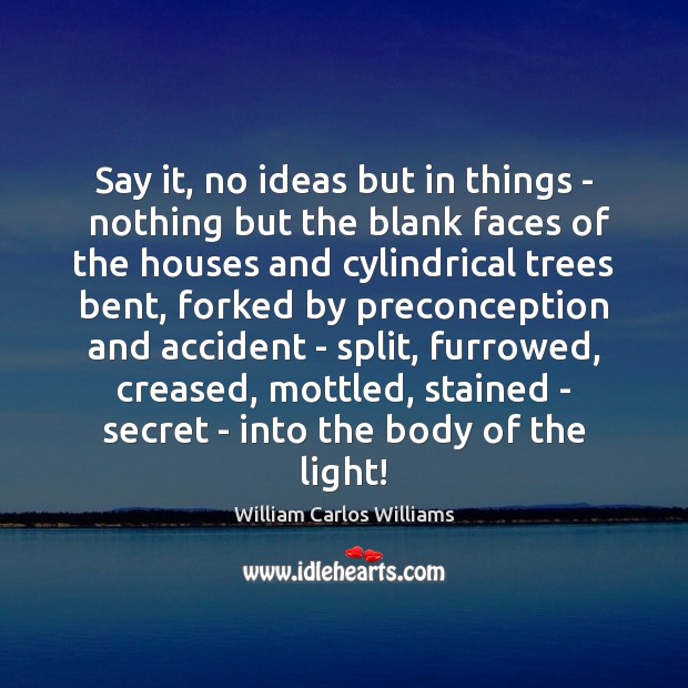 Say it, no ideas but in things –  nothing but the blank William Carlos Williams Picture Quote