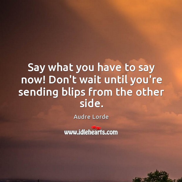 Say what you have to say now! Don’t wait until you’re sending blips from the other side. Audre Lorde Picture Quote