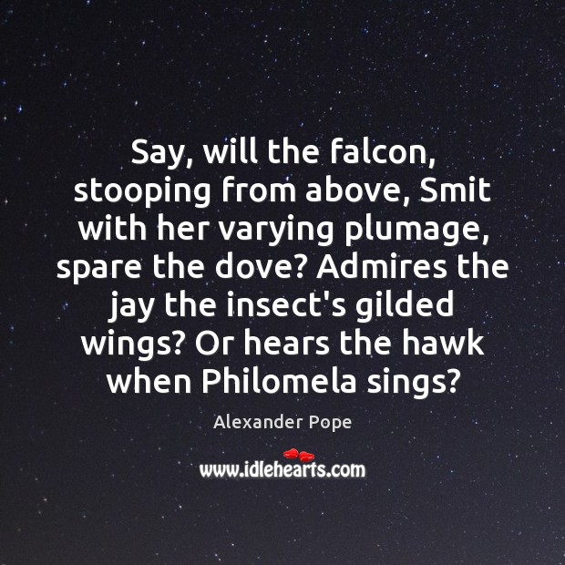 Say, will the falcon, stooping from above, Smit with her varying plumage, Alexander Pope Picture Quote