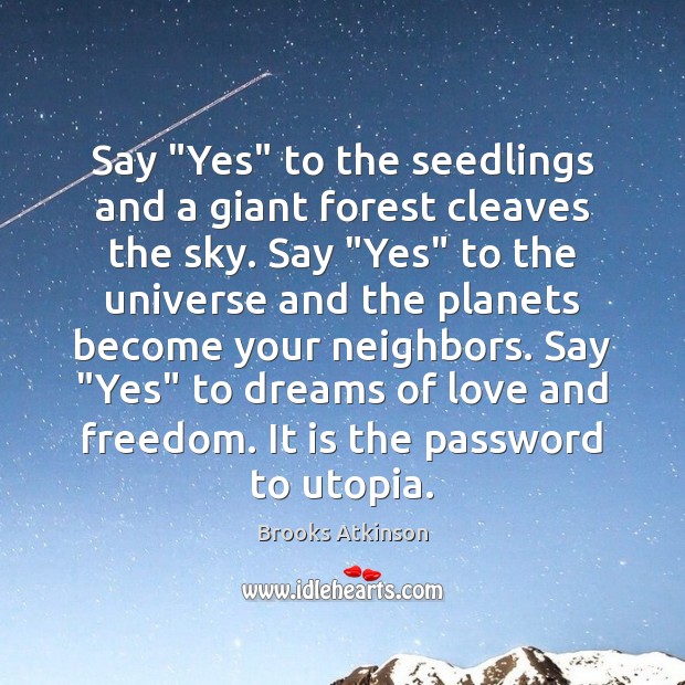 Say “Yes” to the seedlings and a giant forest cleaves the sky. Brooks Atkinson Picture Quote