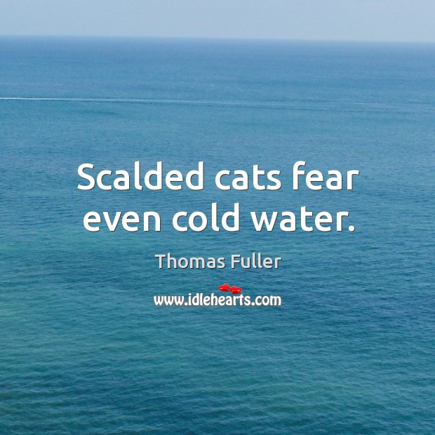 Scalded cats fear even cold water. Image