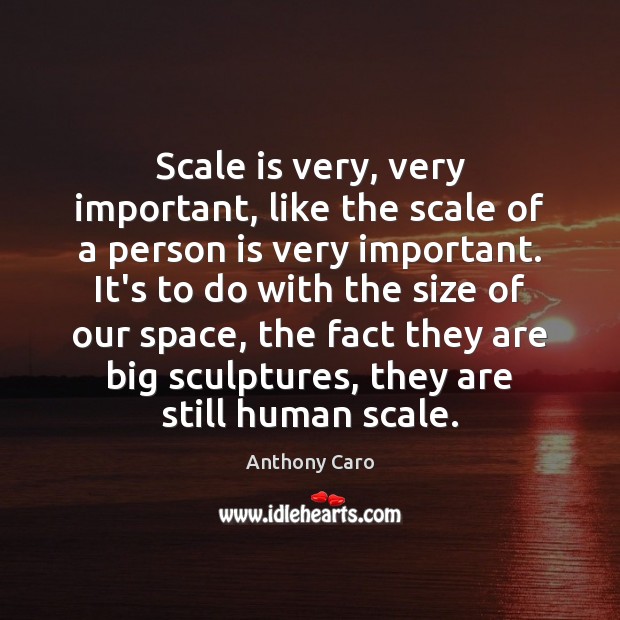 Scale is very, very important, like the scale of a person is Anthony Caro Picture Quote
