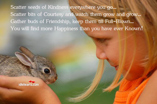 Scatter seeds of kindness everywhere you go Image