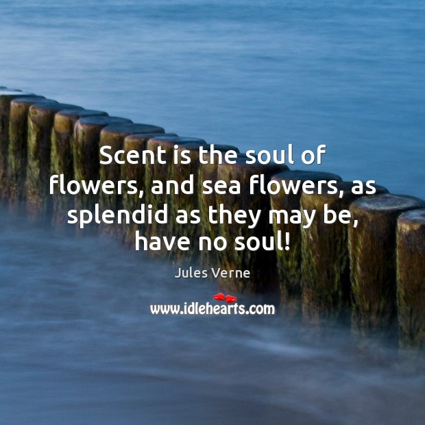 Scent is the soul of flowers, and sea flowers, as splendid as they may be, have no soul! Jules Verne Picture Quote