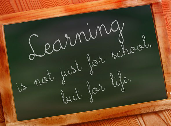 Learning is for life, not just for schools. Learning Quotes Image