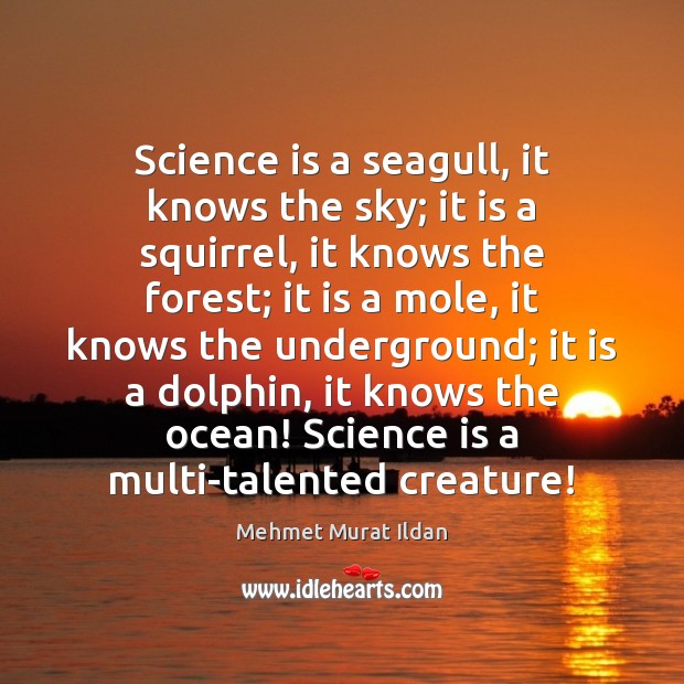 Science is a seagull, it knows the sky; it is a squirrel, Mehmet Murat Ildan Picture Quote