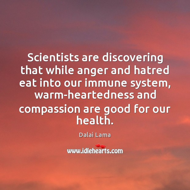 Scientists are discovering that while anger and hatred eat into our immune Dalai Lama Picture Quote