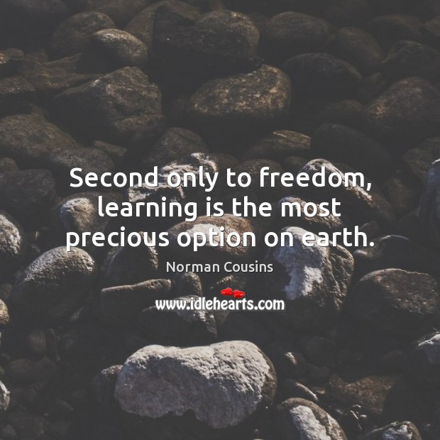 Second only to freedom, learning is the most precious option on earth. Learning Quotes Image