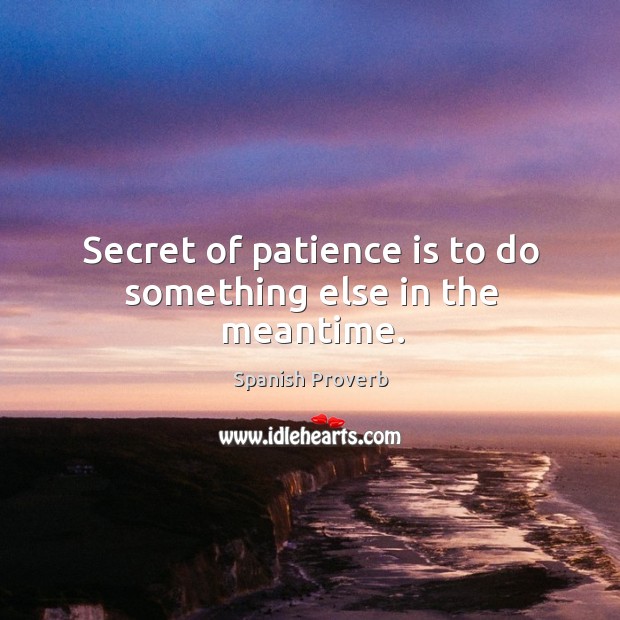 Secret of patience is to do something else in the meantime. Image