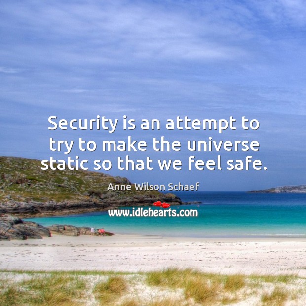 Security is an attempt to try to make the universe static so that we feel safe. Anne Wilson Schaef Picture Quote