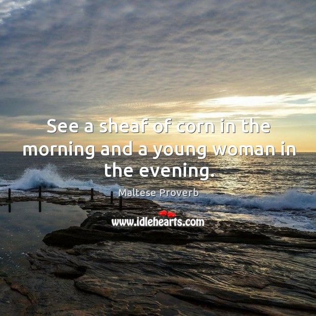 See a sheaf of corn in the morning and a young woman in the evening. Image