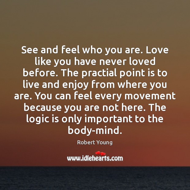 See and feel who you are. Love like you have never loved Logic Quotes Image