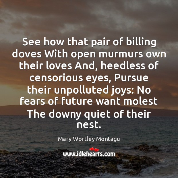 See how that pair of billing doves With open murmurs own their Mary Wortley Montagu Picture Quote