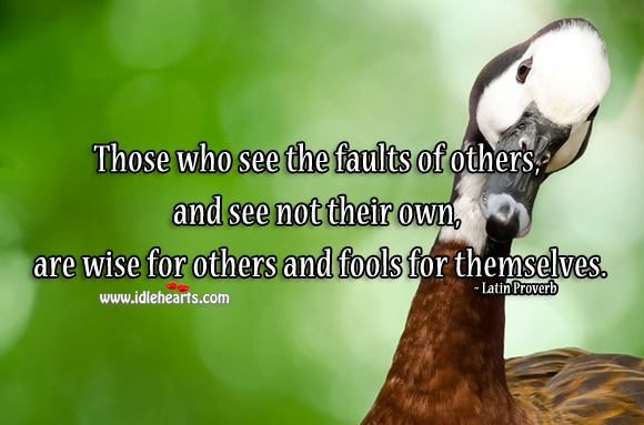 Those who see the faults of others, and see not their own, are wise for others and fools for themselves. Latin Proverbs Image