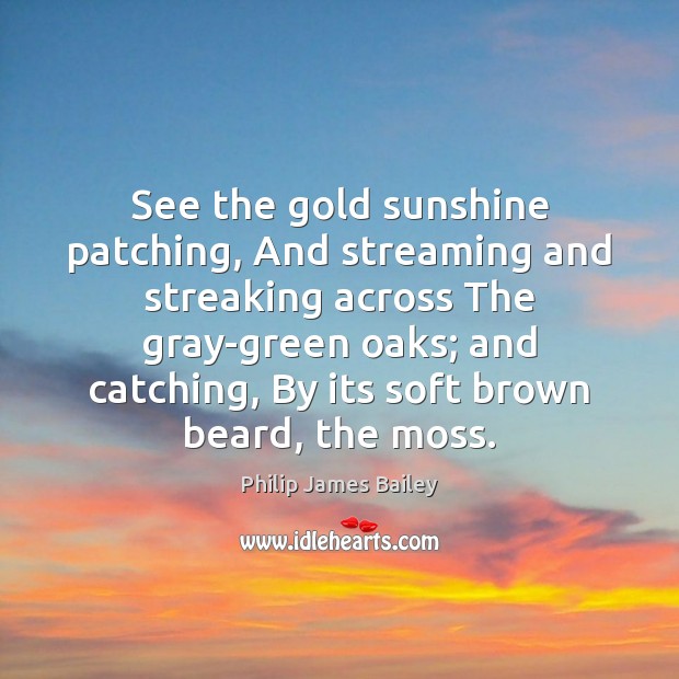 See the gold sunshine patching, And streaming and streaking across The gray-green 