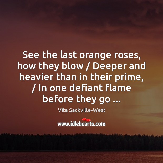 See the last orange roses, how they blow / Deeper and heavier than Vita Sackville-West Picture Quote