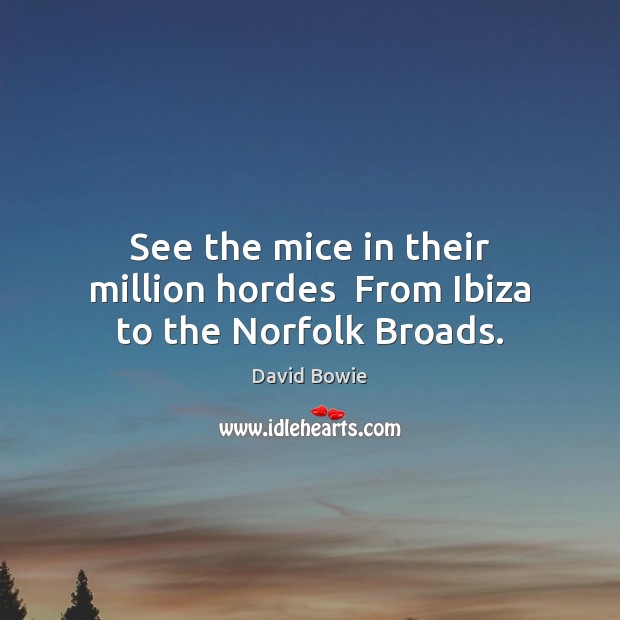 See the mice in their million hordes  From Ibiza to the Norfolk Broads. 