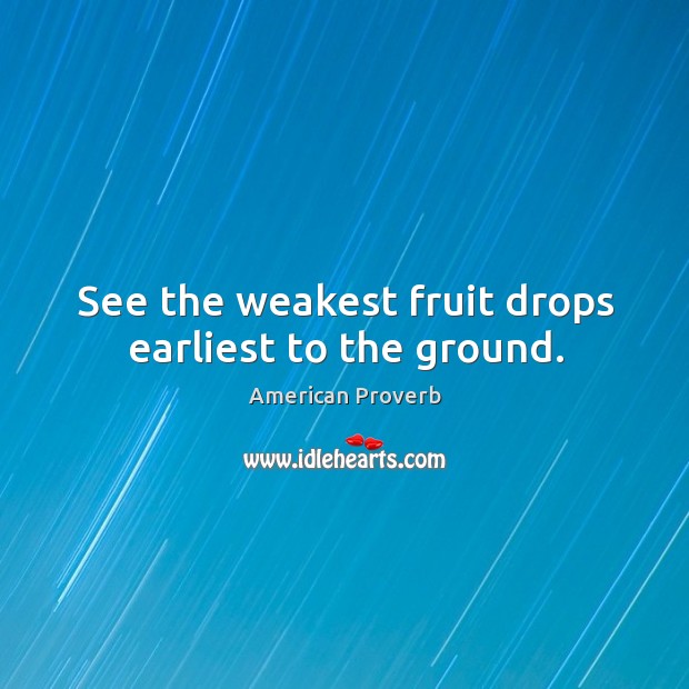 See the weakest fruit drops earliest to the ground. American Proverbs Image