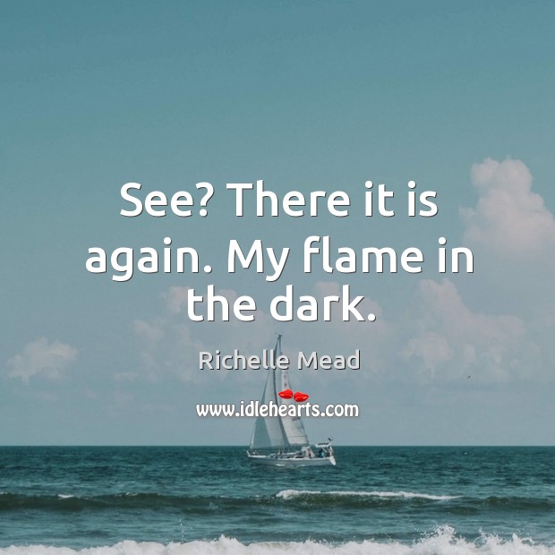 See? There it is again. My flame in the dark. Richelle Mead Picture Quote