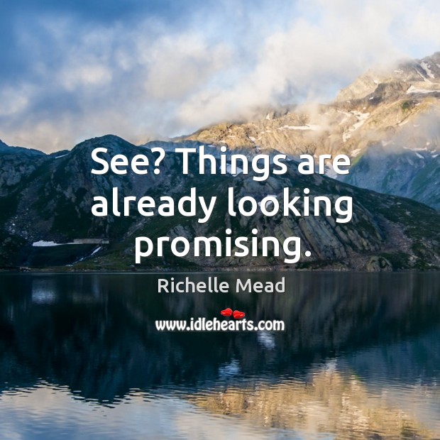 See? Things are already looking promising. Richelle Mead Picture Quote