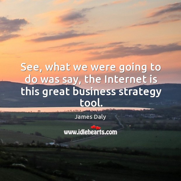 See, what we were going to do was say, the internet is this great business strategy tool. Image