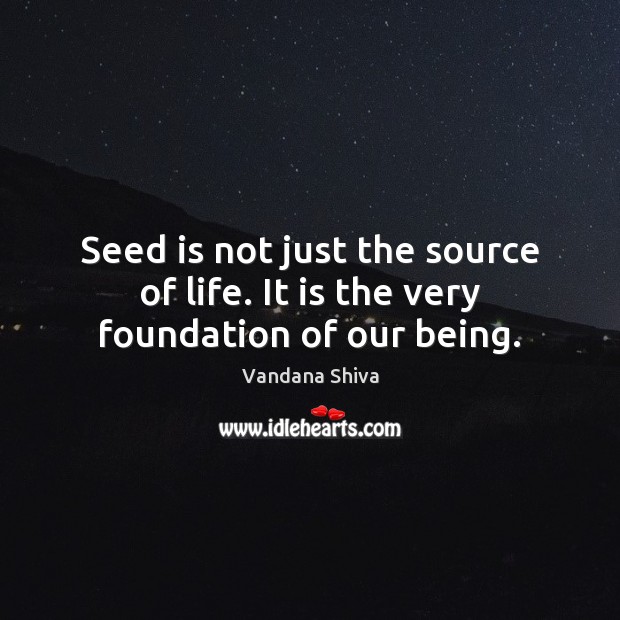 Seed is not just the source of life. It is the very foundation of our being. Vandana Shiva Picture Quote