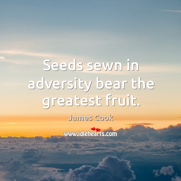 Seeds sewn in adversity bear the greatest fruit. Image