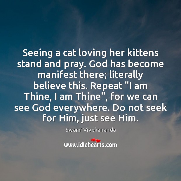 Seeing a cat loving her kittens stand and pray. God has become Image