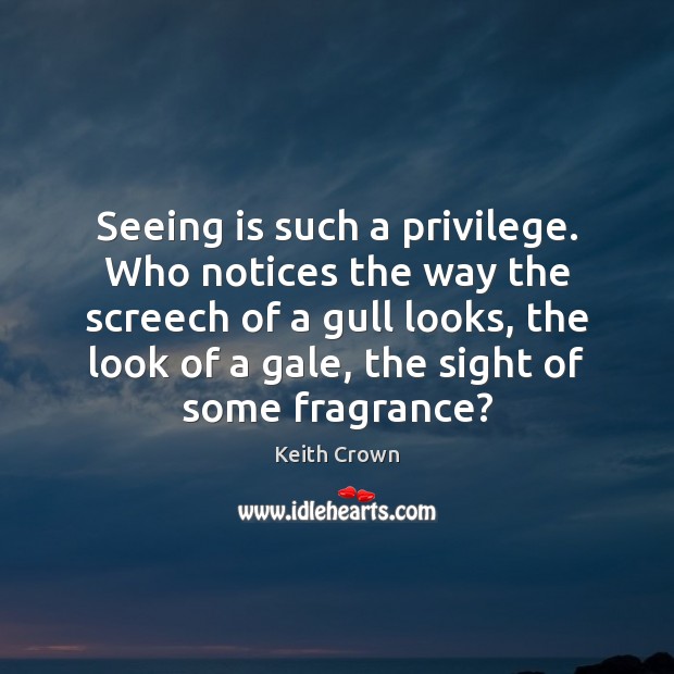 Seeing is such a privilege. Who notices the way the screech of 