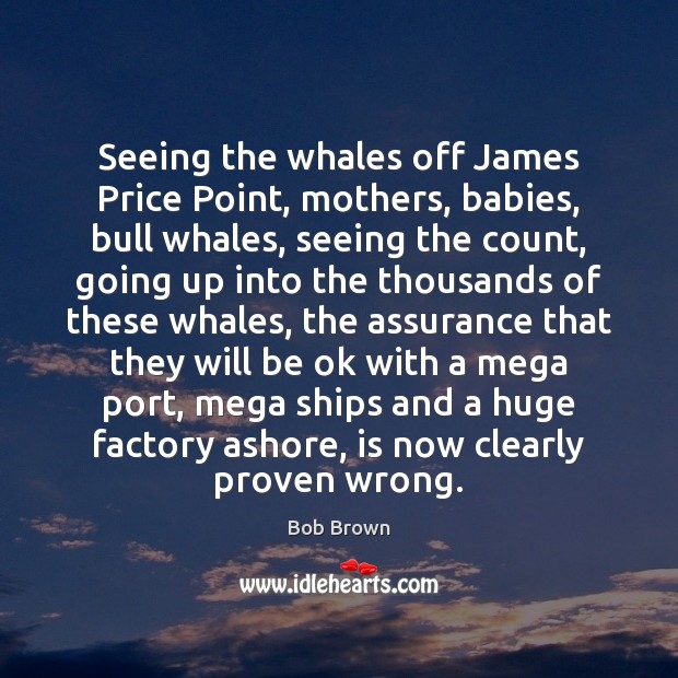 Seeing the whales off James Price Point, mothers, babies, bull whales, seeing Bob Brown Picture Quote