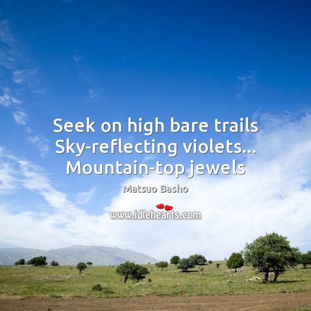 Seek on high bare trails Sky-reflecting violets… Mountain-top jewels Image