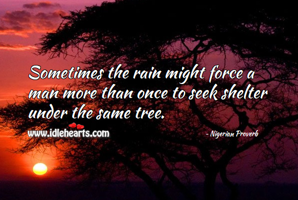 Sometimes the rain might force a man more than once to seek shelter under the same tree. Nigerian Proverbs Image
