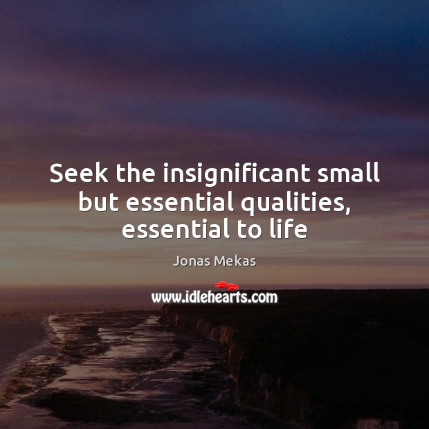 Seek the insignificant small but essential qualities, essential to life Jonas Mekas Picture Quote