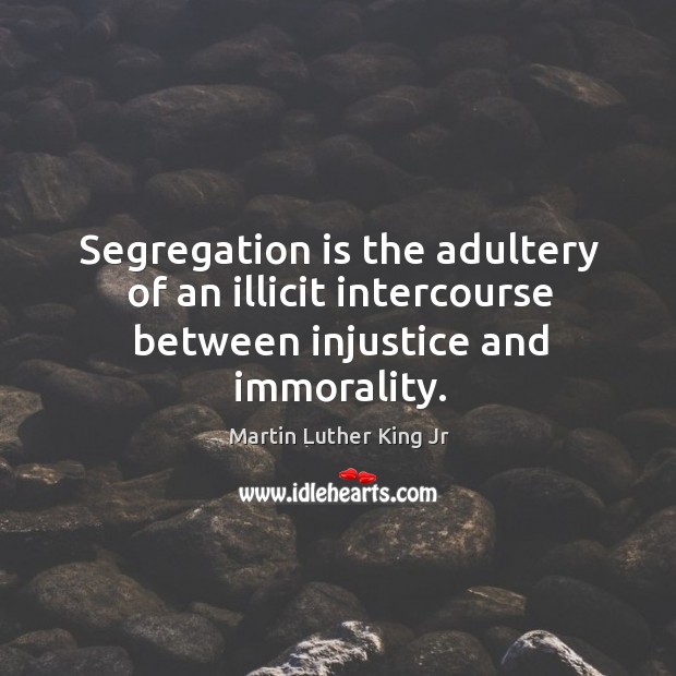 Segregation is the adultery of an illicit intercourse between injustice and immorality. Image